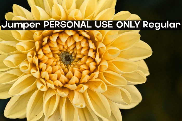 Jumper PERSONAL USE ONLY Regular Example 1