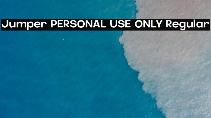 Jumper PERSONAL USE ONLY Regular Example 2