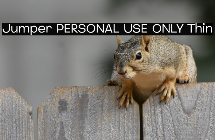 Jumper PERSONAL USE ONLY Thin Example 3