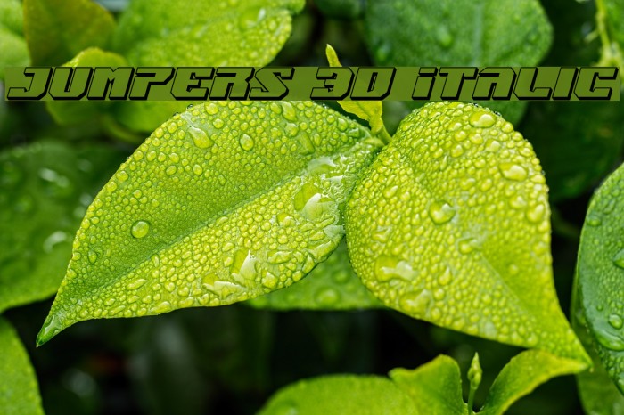 Jumpers 3D Italic Font examples