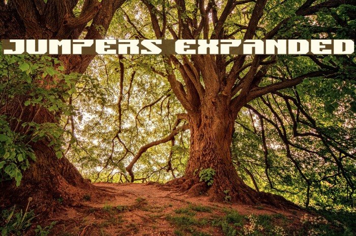 Jumpers Expanded Example 2