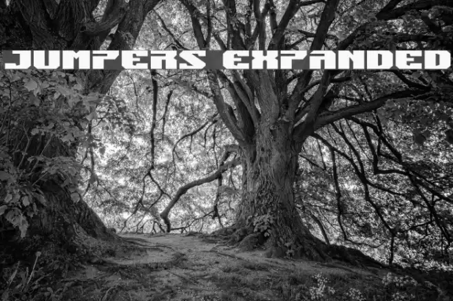 Jumpers Expanded Font examples