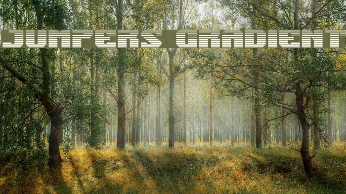 Jumpers Gradient Example 1