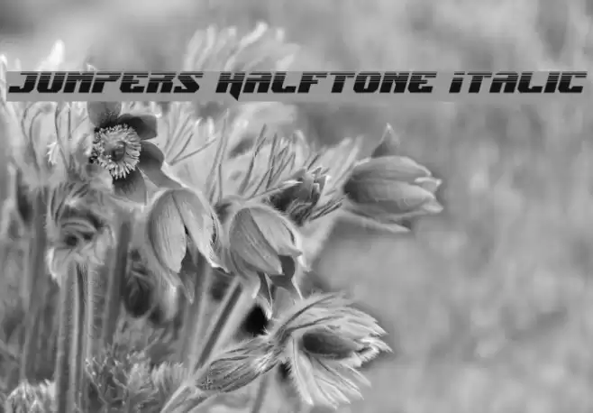 Jumpers Halftone Italic Font examples