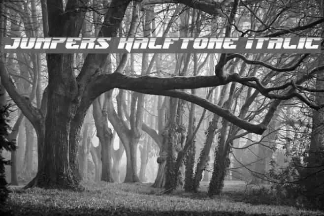 Jumpers Halftone Italic Font examples