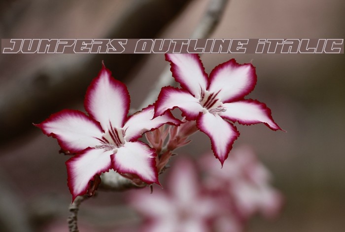 Jumpers Outline Italic Example 1