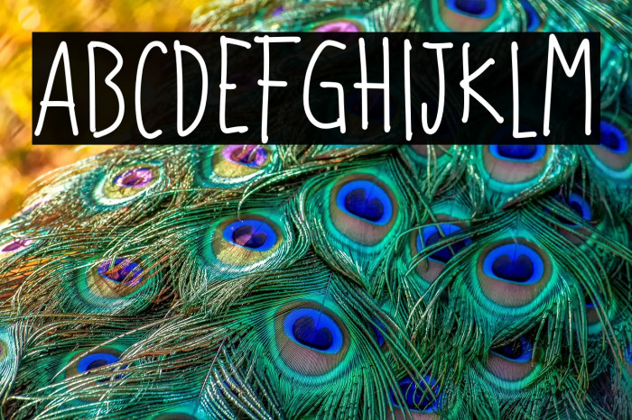 Jumpheart Regular Example 1