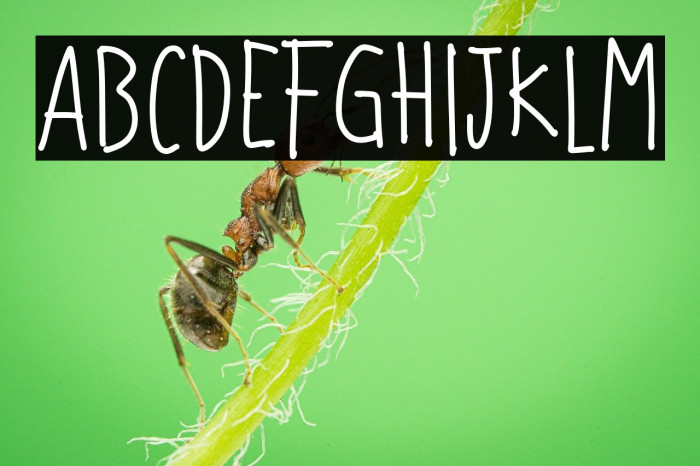 Jumpheart Regular Example 2