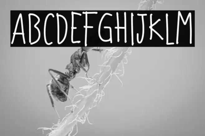 Jumpheart Regular Schriftart examples