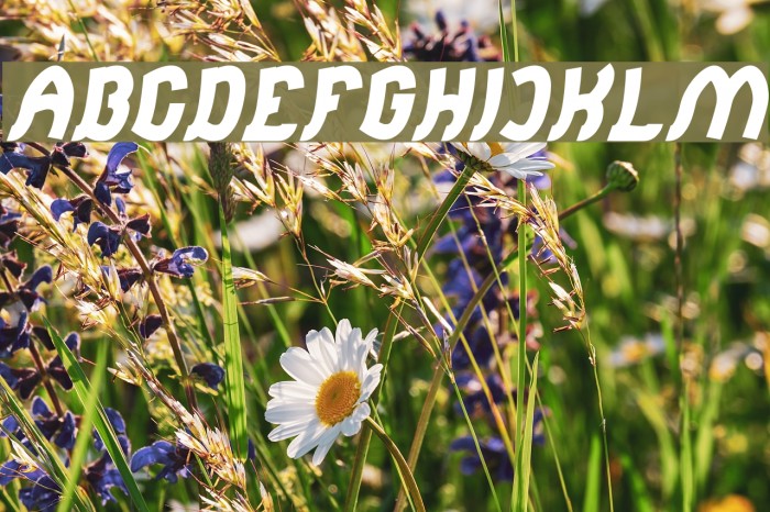 Jumping Running Italic Example 3