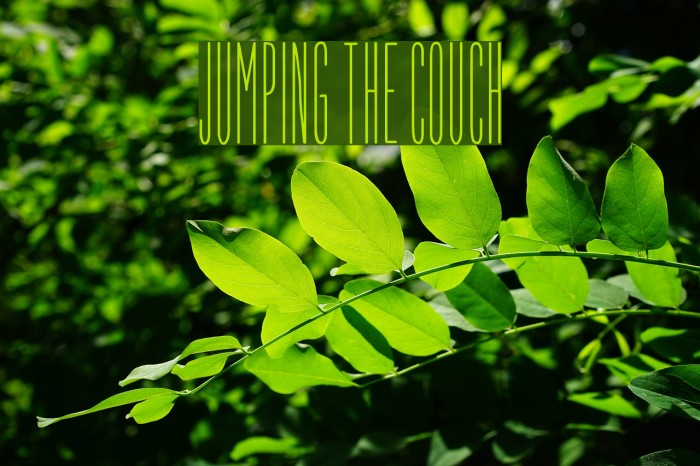 Jumping the Couch Font examples