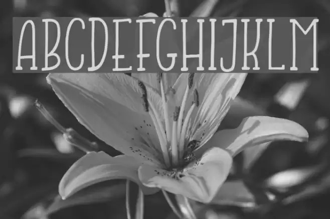 JumpingFrogDemo Font examples