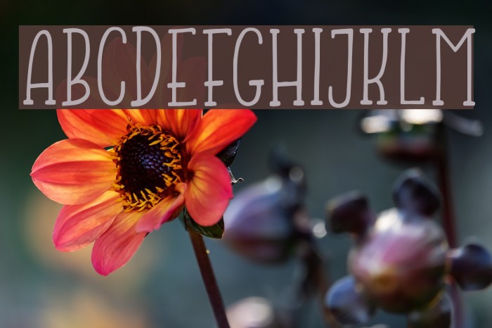 JumpingFrogDemo Font examples