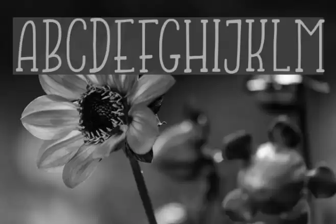 JumpingFrogDemo Font examples