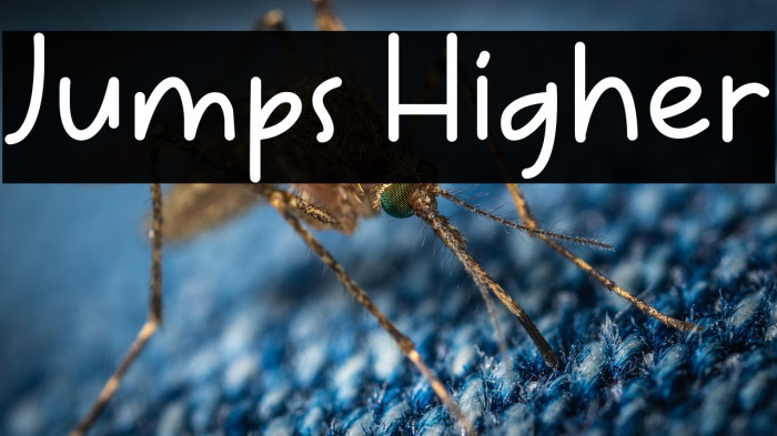 Jumps Higher Example 3