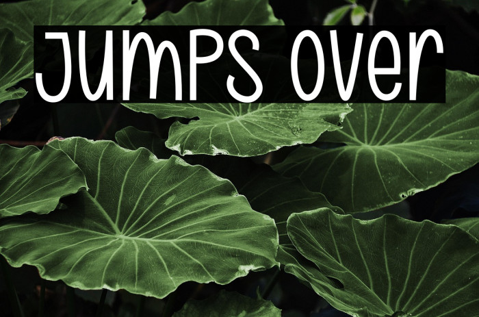 Jumps Over Example 1