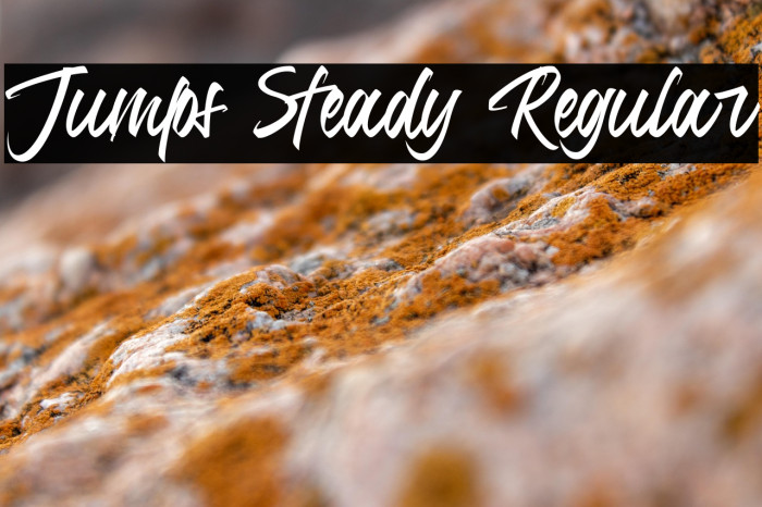 Jumps Steady Regular Example 2