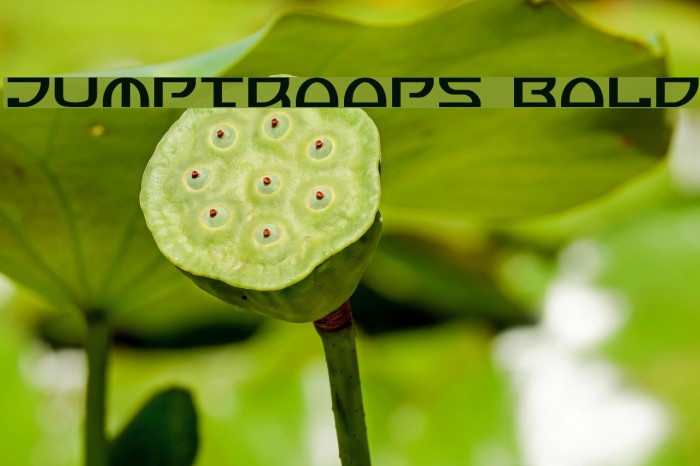 Jumptroops Bold Font examples