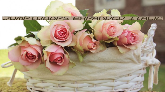 Jumptroops Expanded Italic Example 1