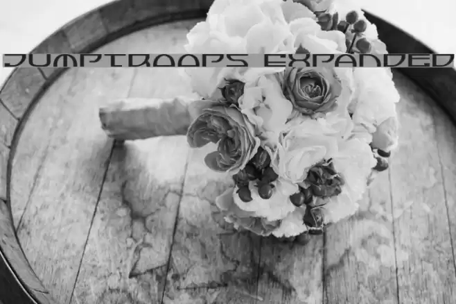 Jumptroops Expanded Font examples