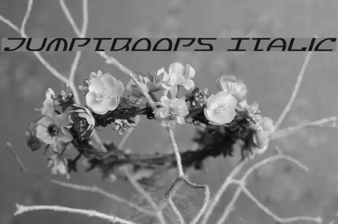Jumptroops Italic Fonte examples