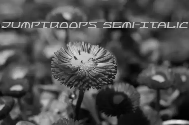 Jumptroops Semi-Italic Font examples