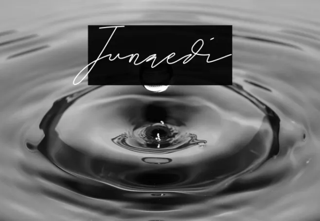 Junaedi Example 1