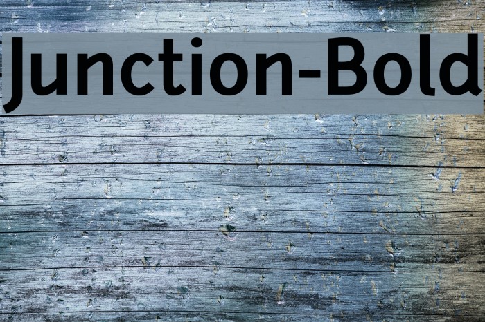 Junction-Bold Font examples