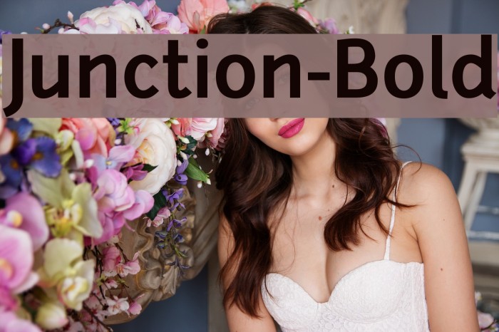 Junction-Bold Font examples