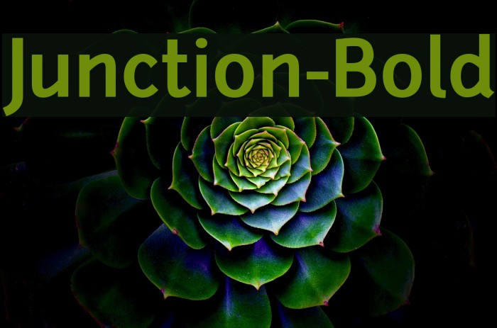 Junction-Bold Font examples