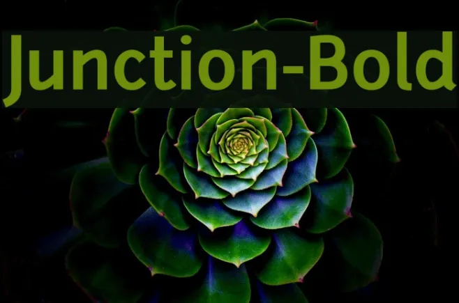 Junction-Bold Example 3