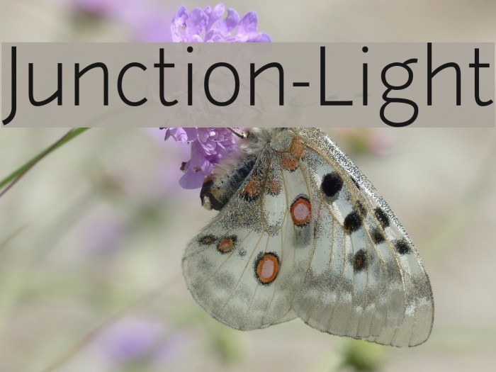 Junction-Light Font examples