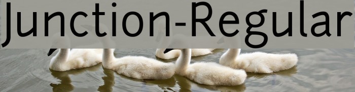 Junction-Regular Font examples
