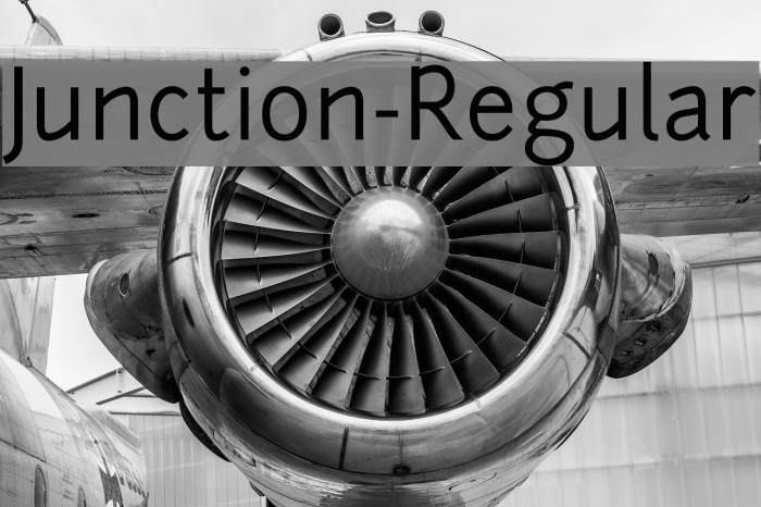 Junction-Regular Font examples