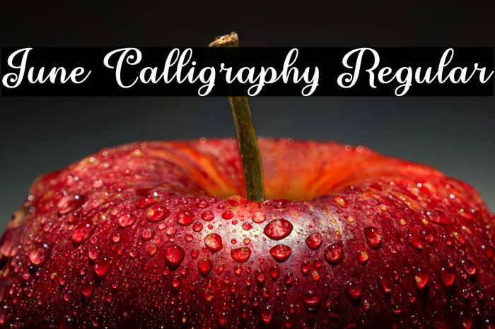 June Calligraphy Regular Example 1