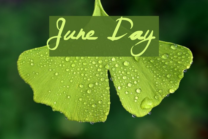 June Day Example 2