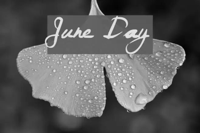 June Day Font examples