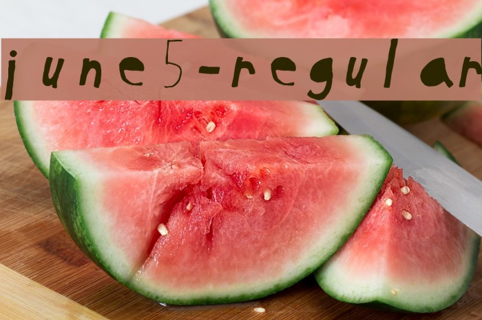 June5-Regular Font examples