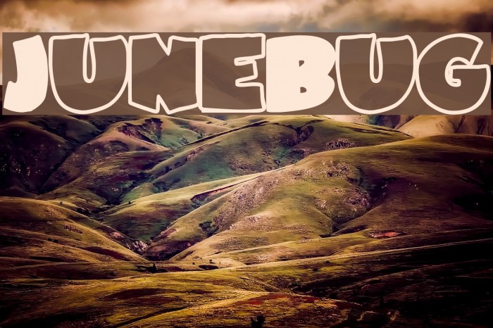 JuneBug Font examples