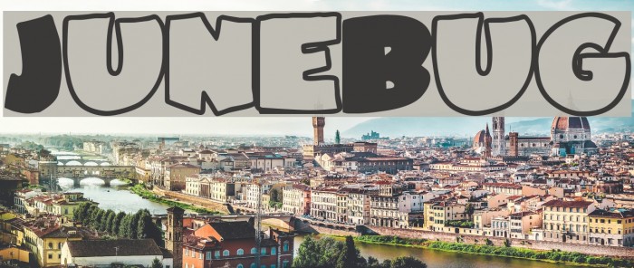 JuneBug Font examples