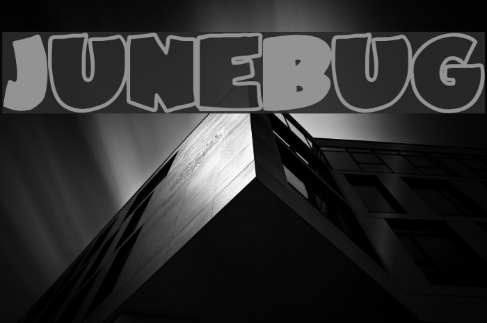 JuneBug Font examples