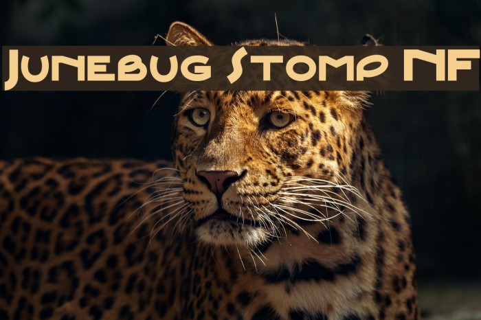 Junebug Stomp NF Caratteri examples