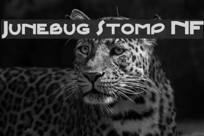 Junebug Stomp NF Polices examples