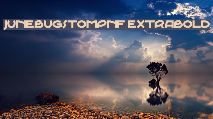 JunebugStompNF ExtraBold Font examples