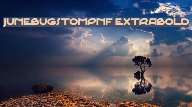 JunebugStompNF ExtraBold Example 2