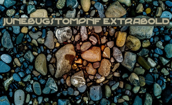 JunebugStompNF ExtraBold Font examples