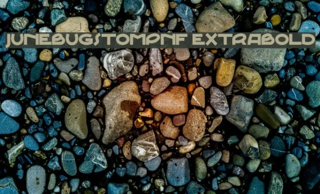 JunebugStompNF ExtraBold Example 3