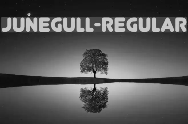 Junegull-Regular Font examples