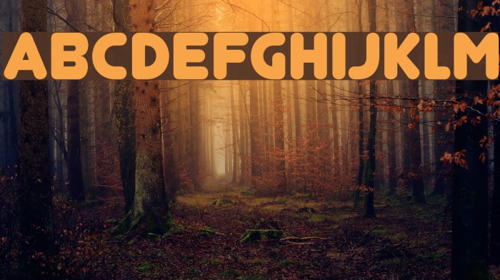 Junegull フォント examples