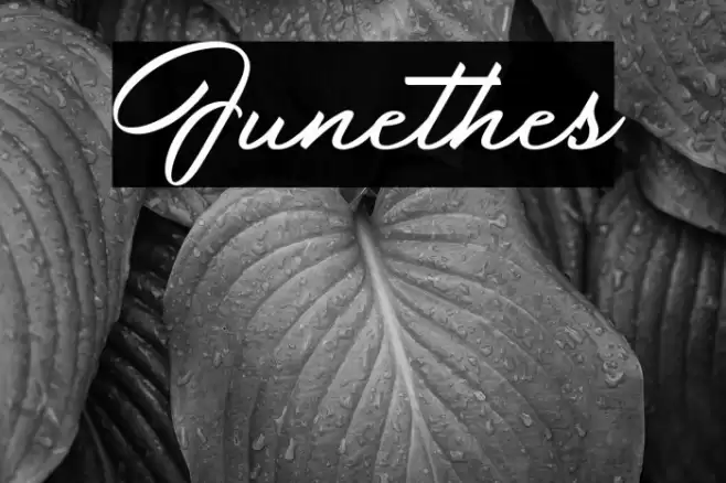 Junethes Font examples